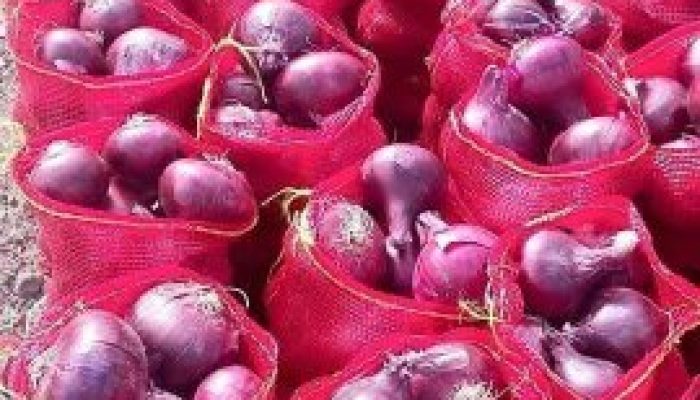 WhatsApp Image 2024-04-19 at 11.46.33 AM