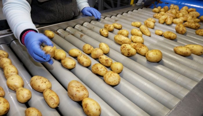 WhatsApp Image 2024-04-19 at 11.56.03 AM (1)