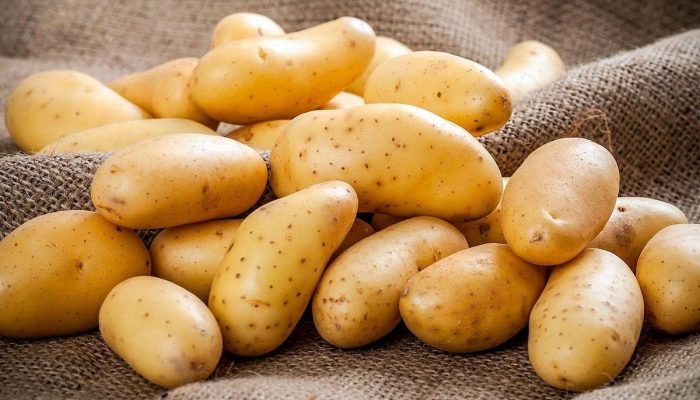 WhatsApp Image 2024-04-19 at 11.56.03 AM