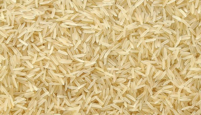 WhatsApp Image 2024-04-19 at 12.08.02 PM