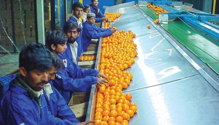 WhatsApp Image 2024-04-19 at 12.09.35 PM