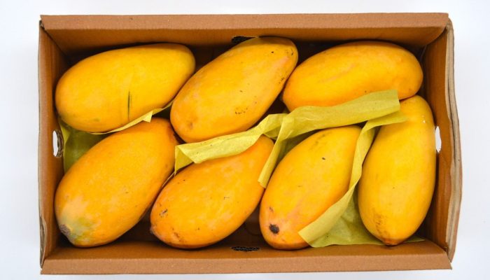 WhatsApp Image 2024-04-19 at 12.23.18 PM